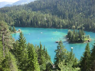 2009 2009 bildergalerie gal4 pic 3